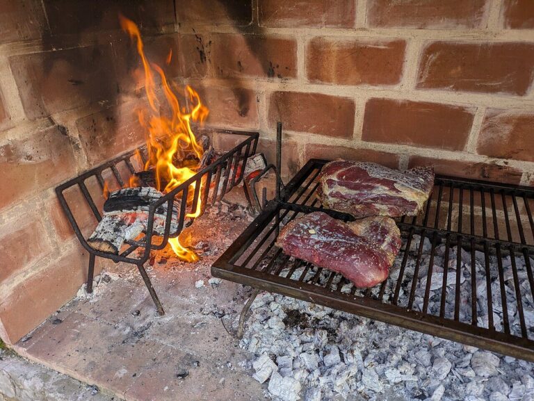 Parrilla con carne sobre brasas de leña